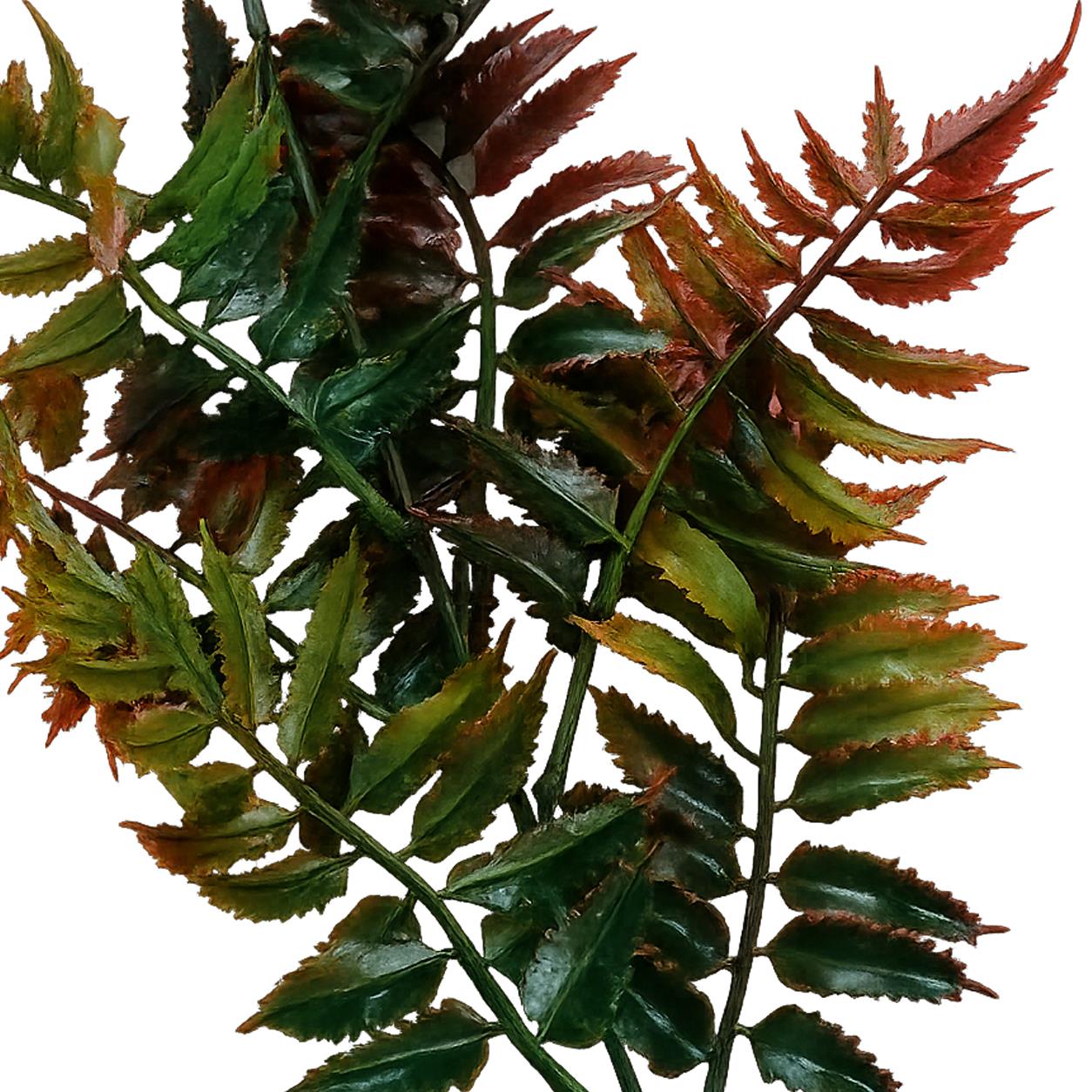 50 cm Künstlicher Farnstiel – Herbstorange