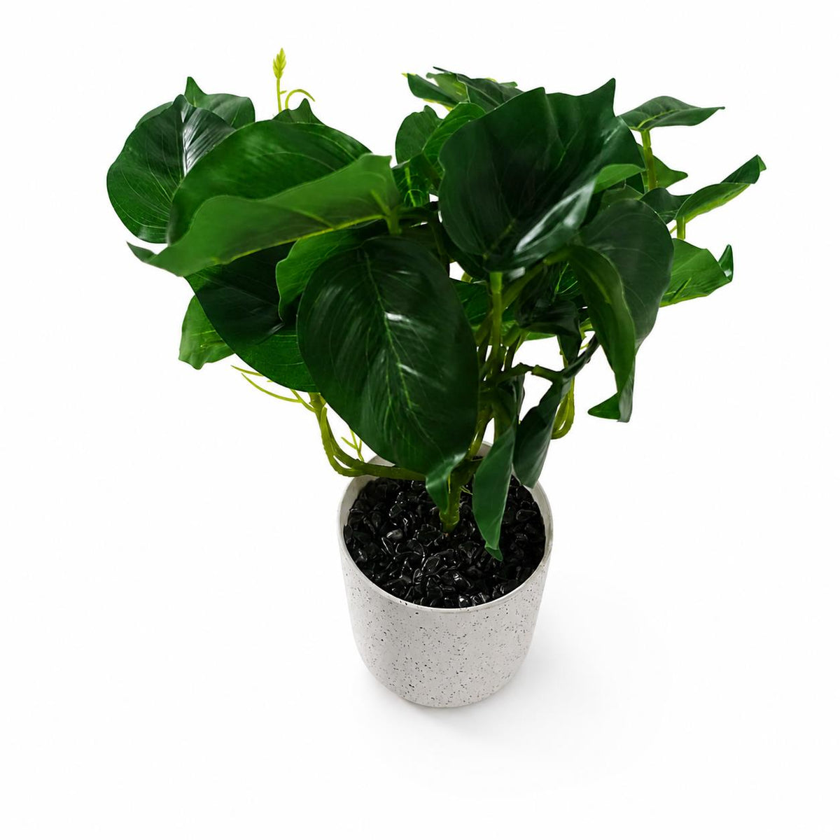 30cm Artificial Mini Pothos in Decorative White Pot – image 4