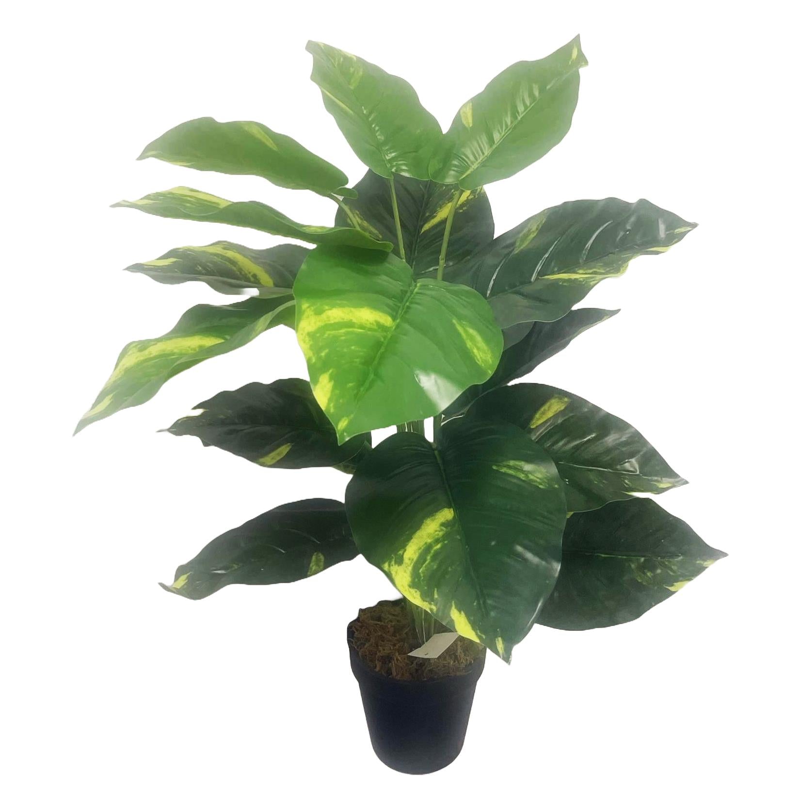 Plante artificielle de pothos (Scindapsus Aureus) de 60 cm