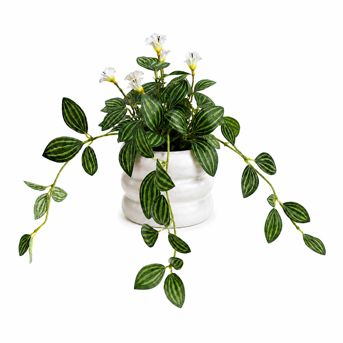 45cm Artificial Trailing Striped Leaf Plant with White Flowers in White Pot – image 3
