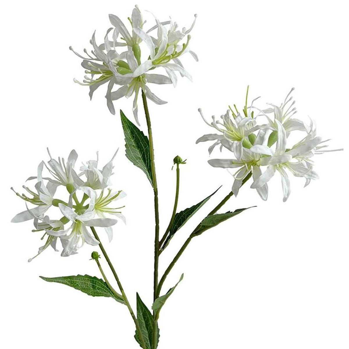 72cm Artificial Spider Lily Flower Stem