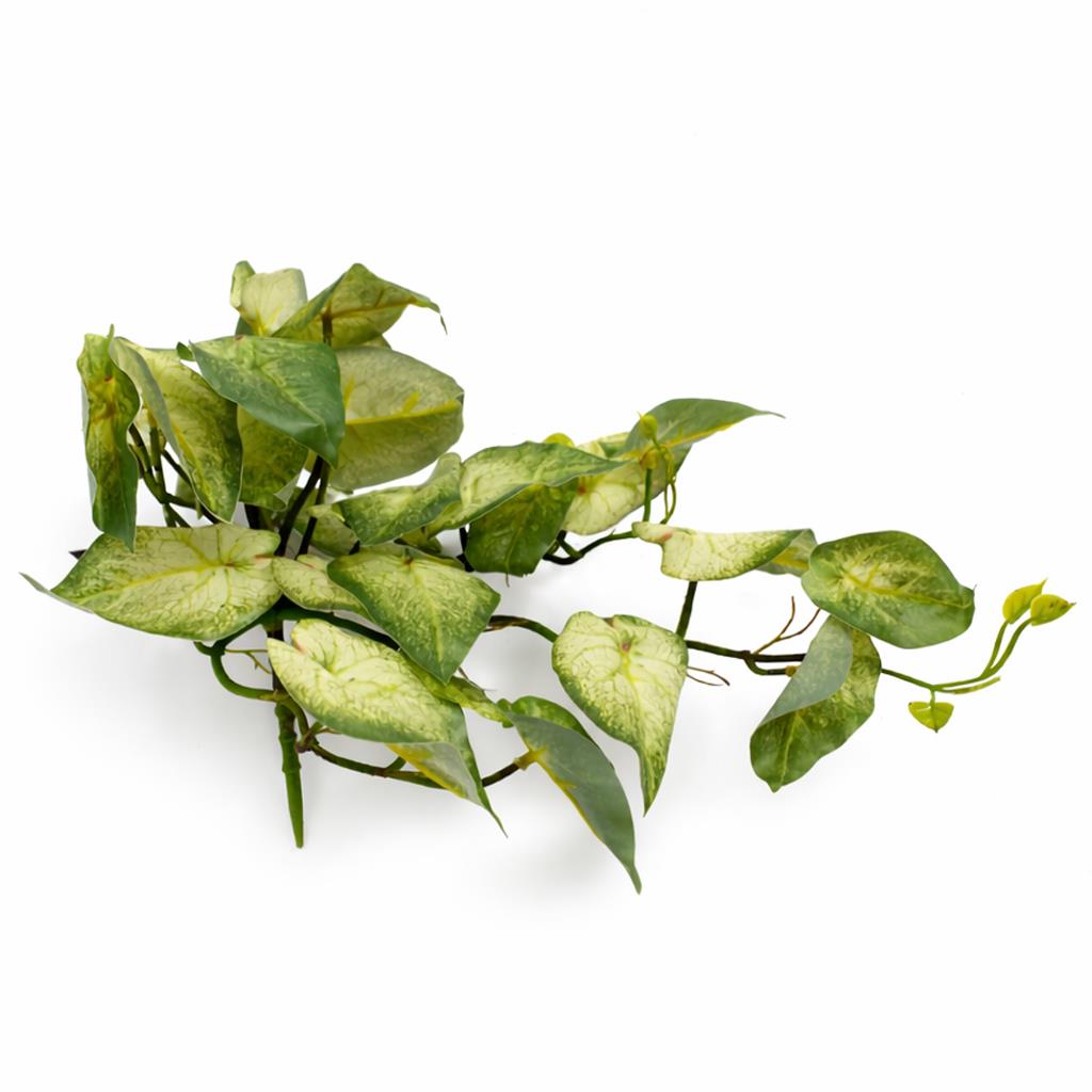 Plante artificielle de vigne Caladium panachée retombante vert clair 25 cm