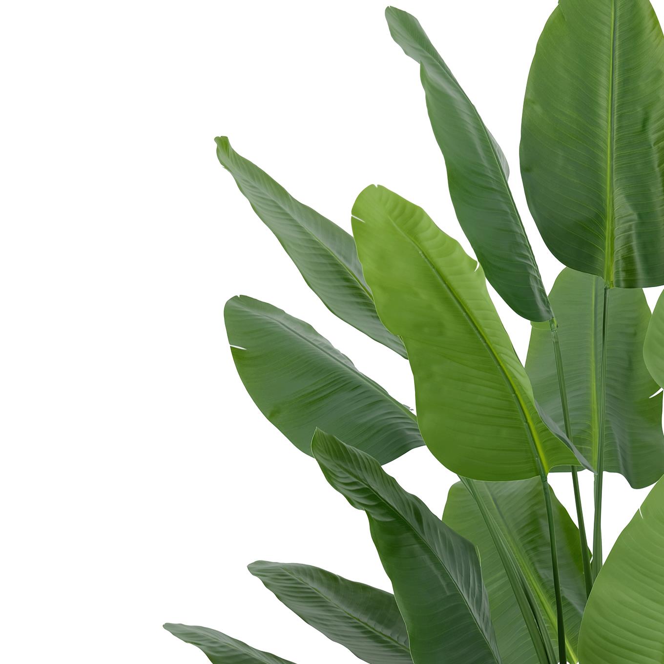 200cm Traveller Palm Artificial Tree Realistic