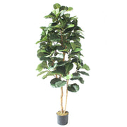 180cm künstlicher Ficus Lyrata Deluxe Baum