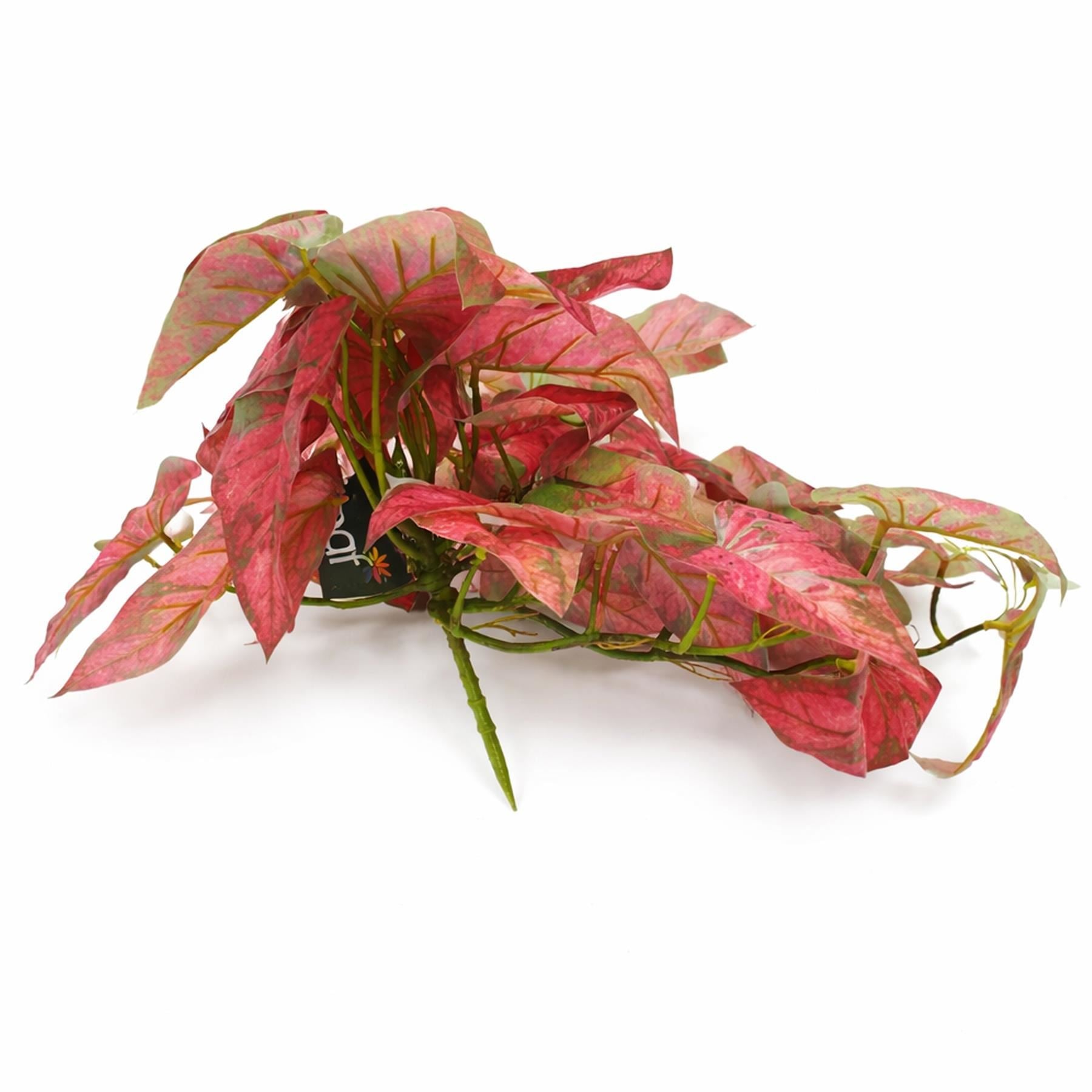 30cm Künstliche Hängende Rote Caladium