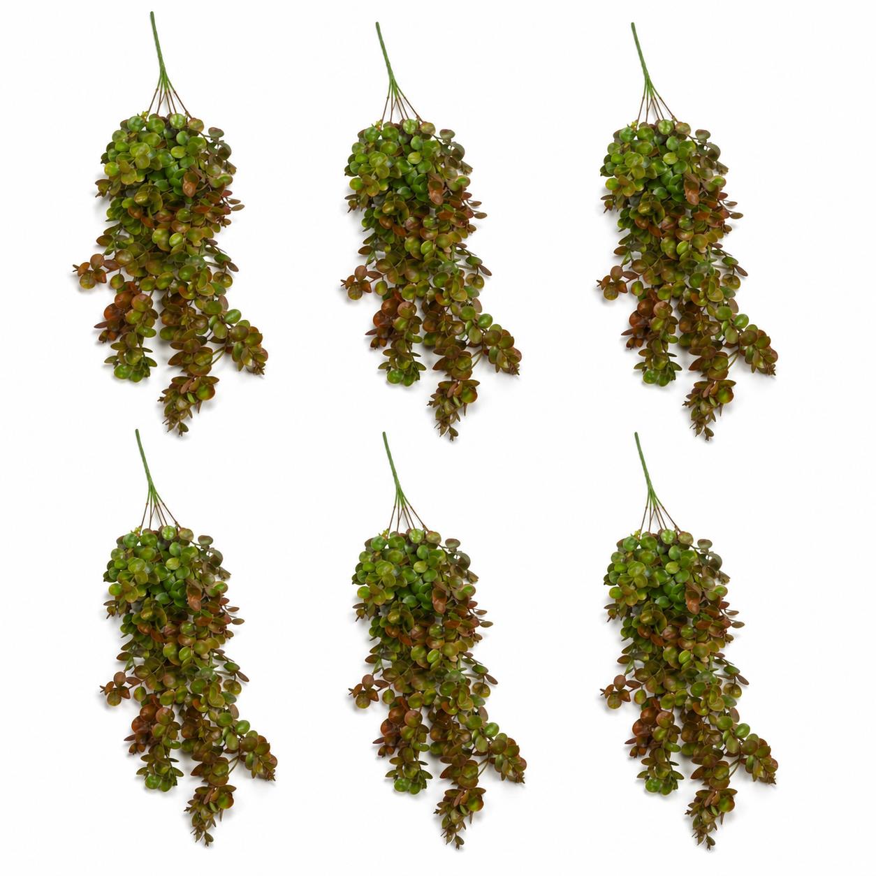 75cm Artificial Trailing Round Leaf Hanging Foliage Plant - Autumn Green & Bronze - Pack of 6