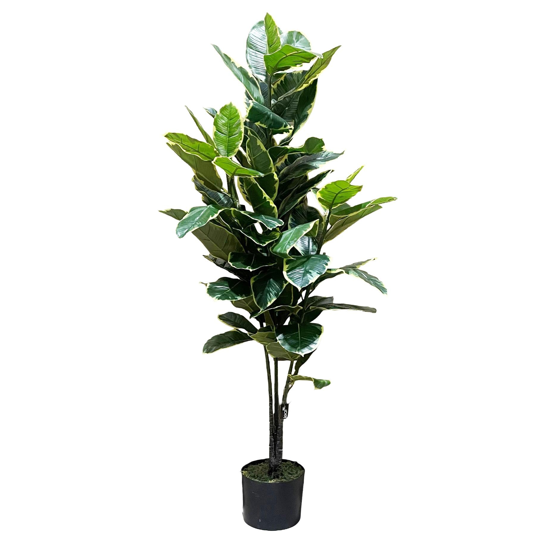 120cm Artificial Rubber Tree – image 2