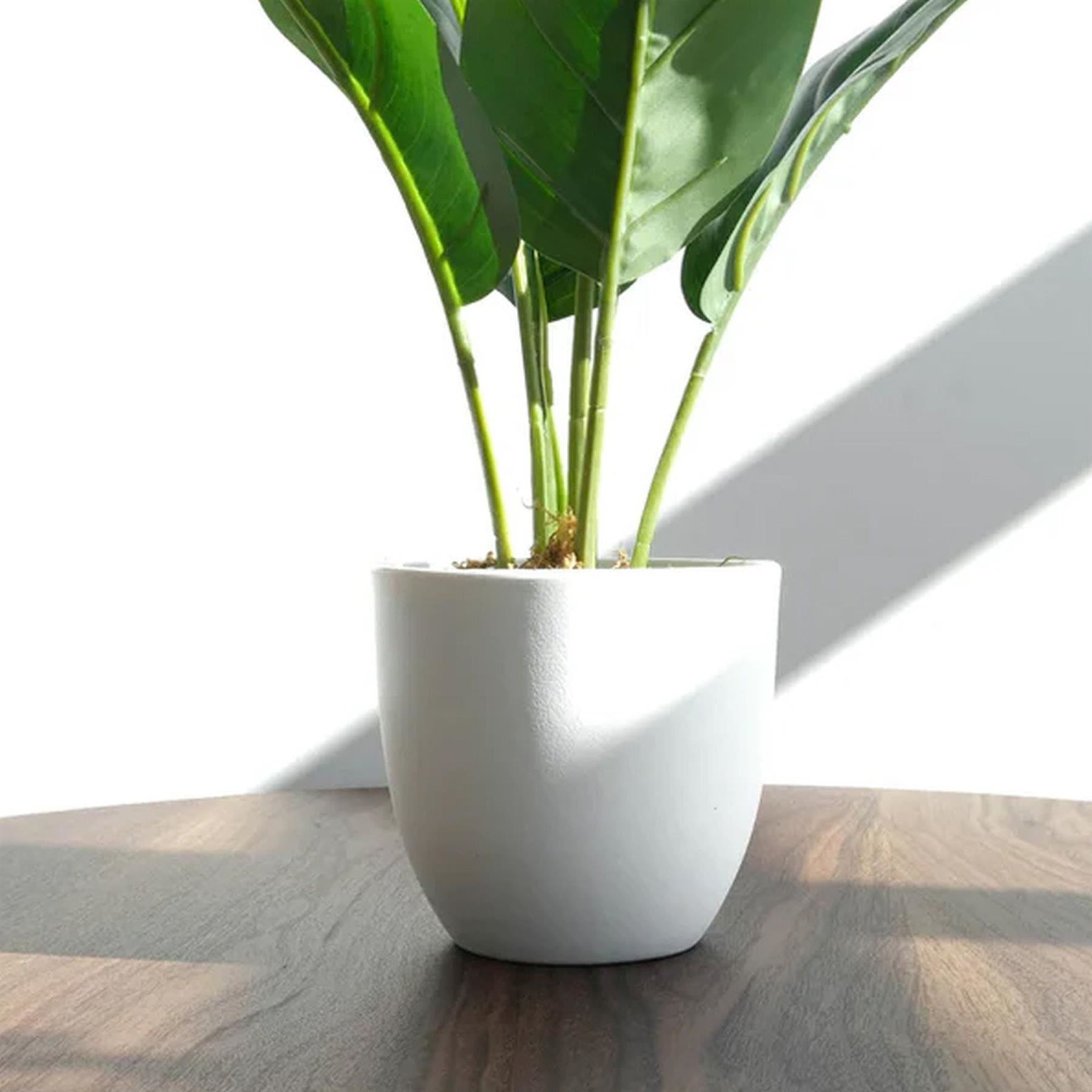 45cm Artificial Aureum Plant