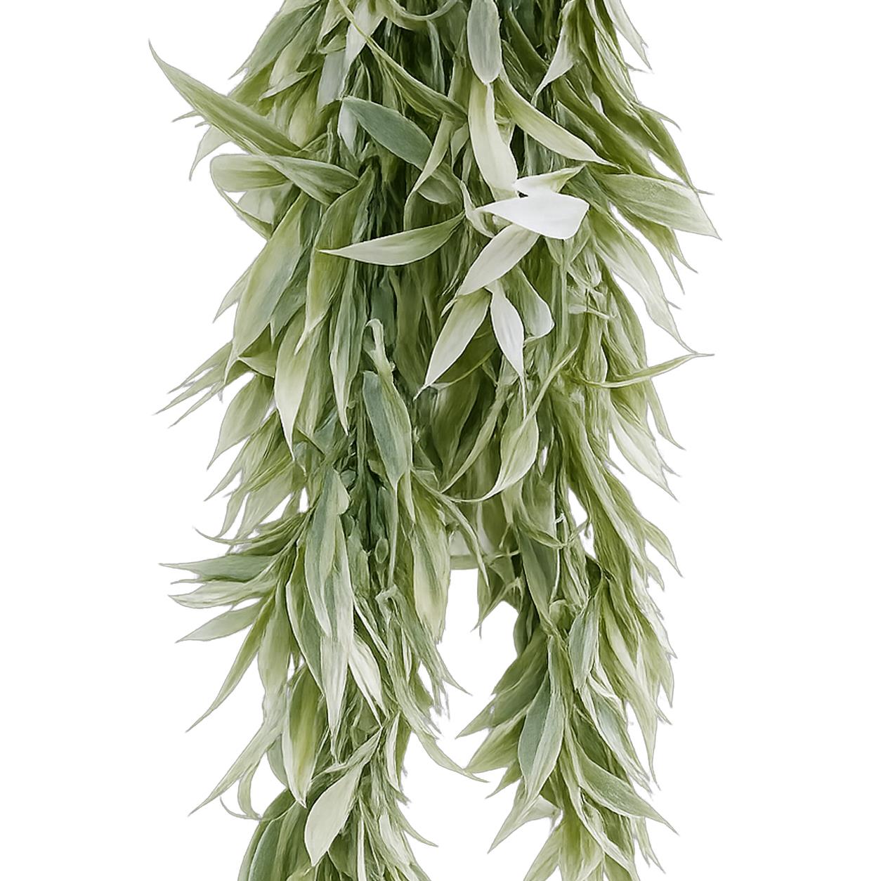 80 cm künstliche italienische Ruscus-Hängepflanze mit realistischem Laub – hellgrün