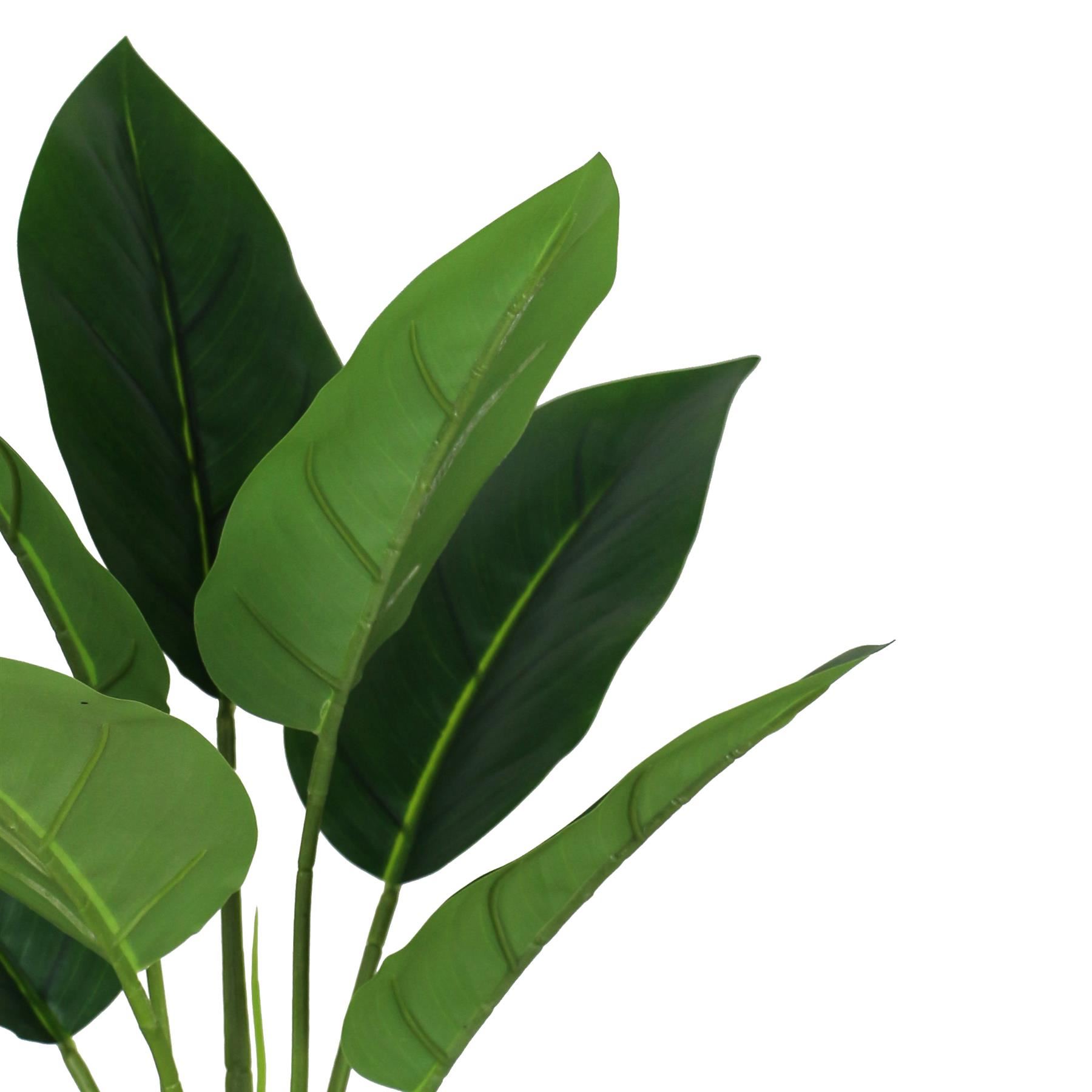 45cm Artificial Aureum Plant