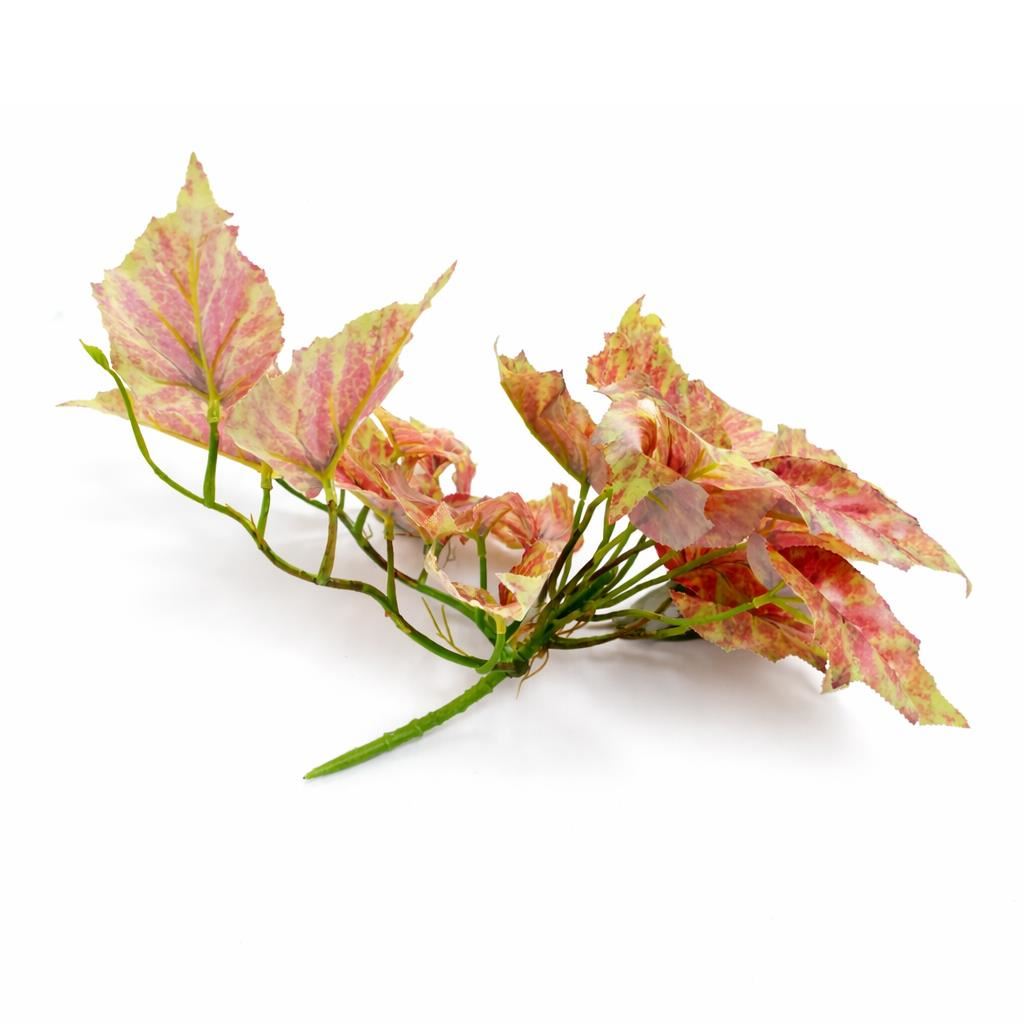 Caladium artificiel retombant rose et vert – 30 cm