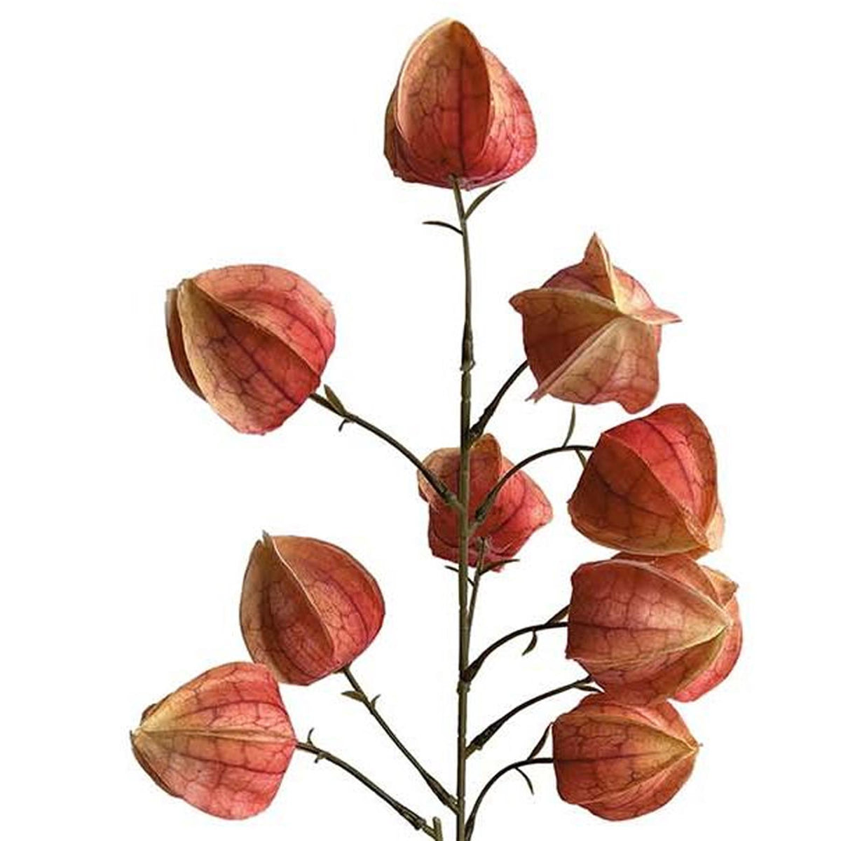 100cm Artificial Chinese Lantern Physalis Spray