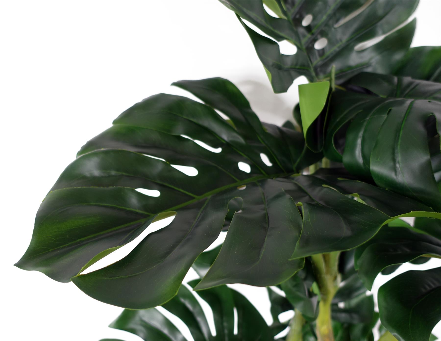 monstera deliciosa 150 cm 150cm Premium Artificial Monstera Plant