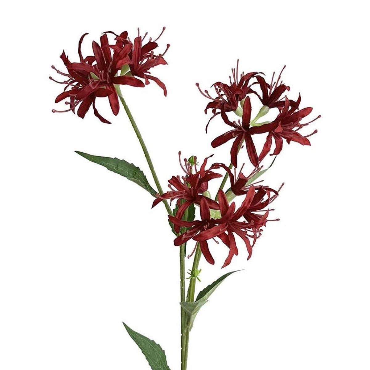 72cm Artificial Spider Lily Flower Stem