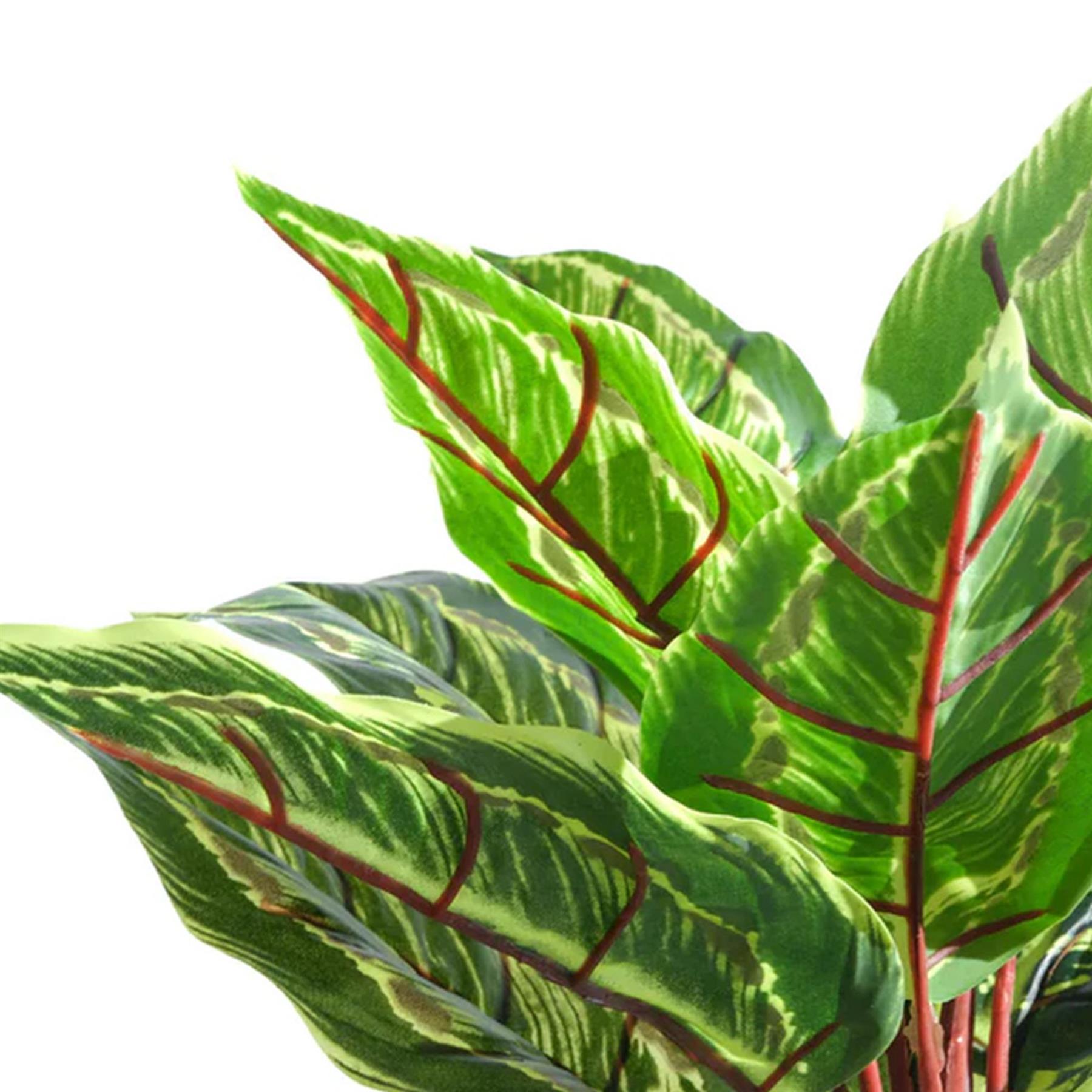 38cm Potted Artificial Calathea Veitchiane Plant