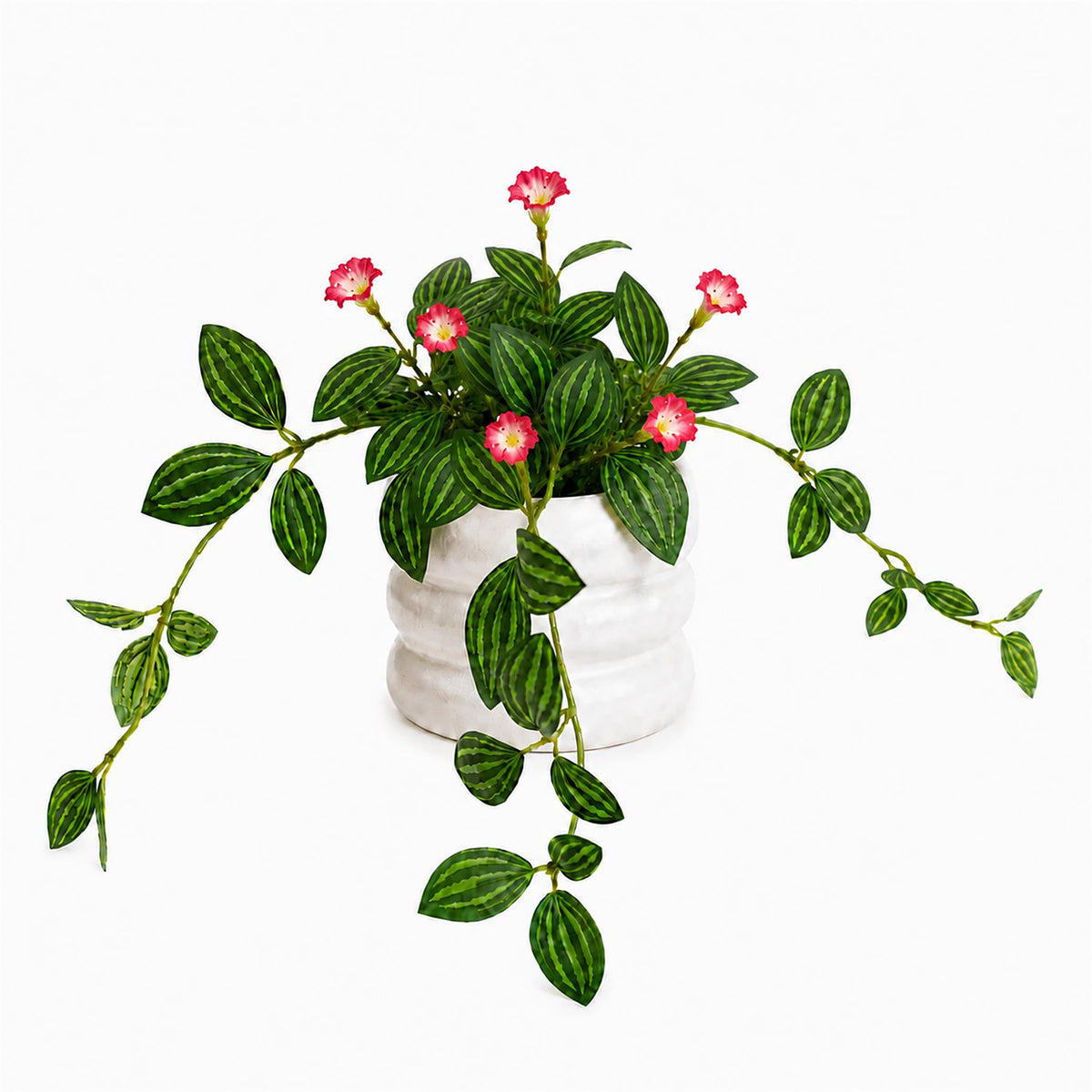 45cm Artificial Trailing Striped Leaf Plant with Pink Flowers in White Pot – image 2