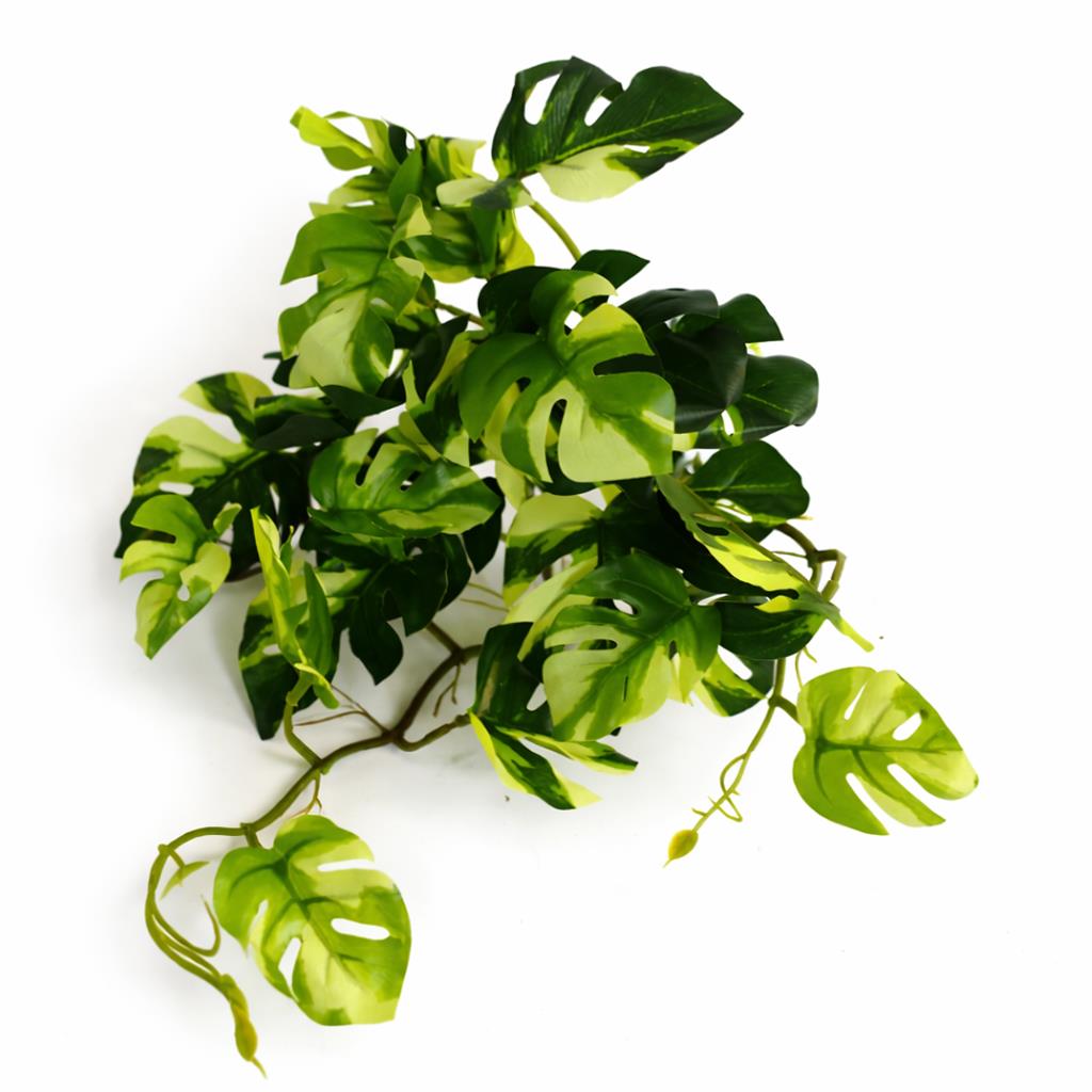 Plante artificielle Monstera panachée retombante de 25 cm