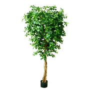 180cm Fire Retardant Black Olive Tree with 2925 Leaves and Natural Trunk