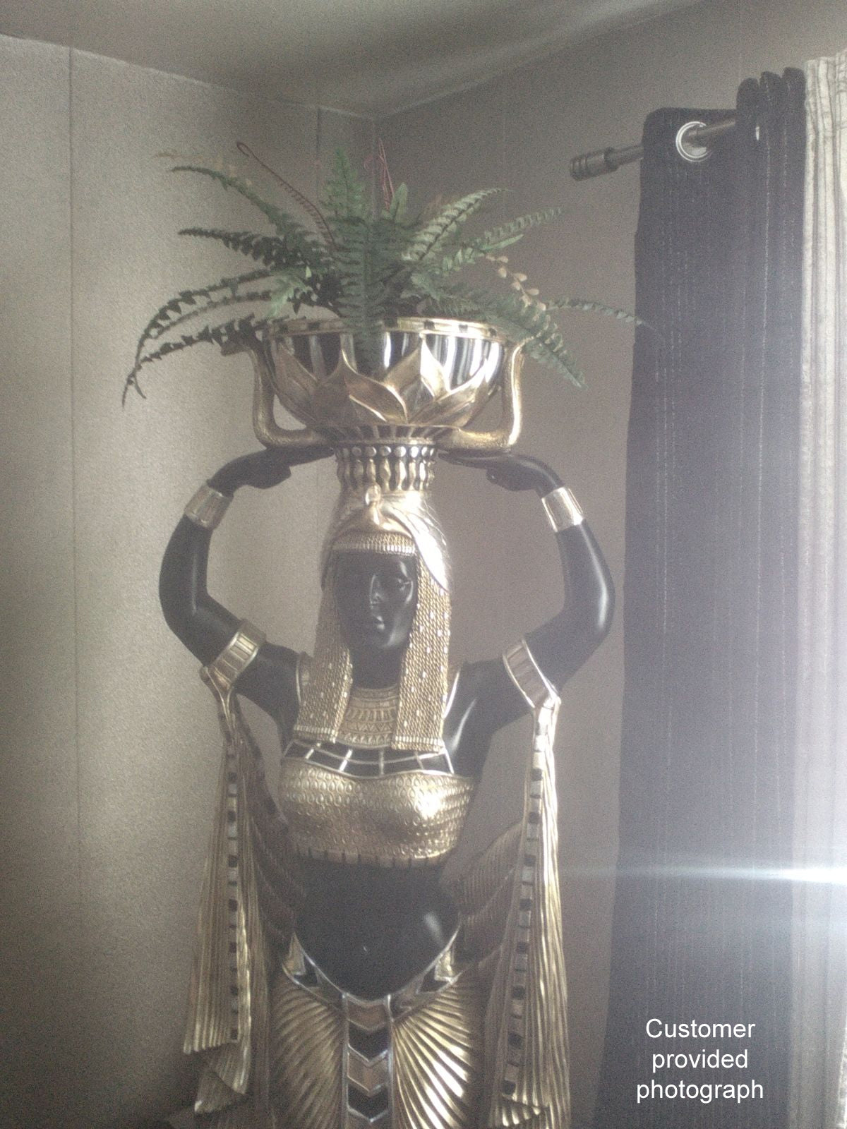 Customer photo of ferns