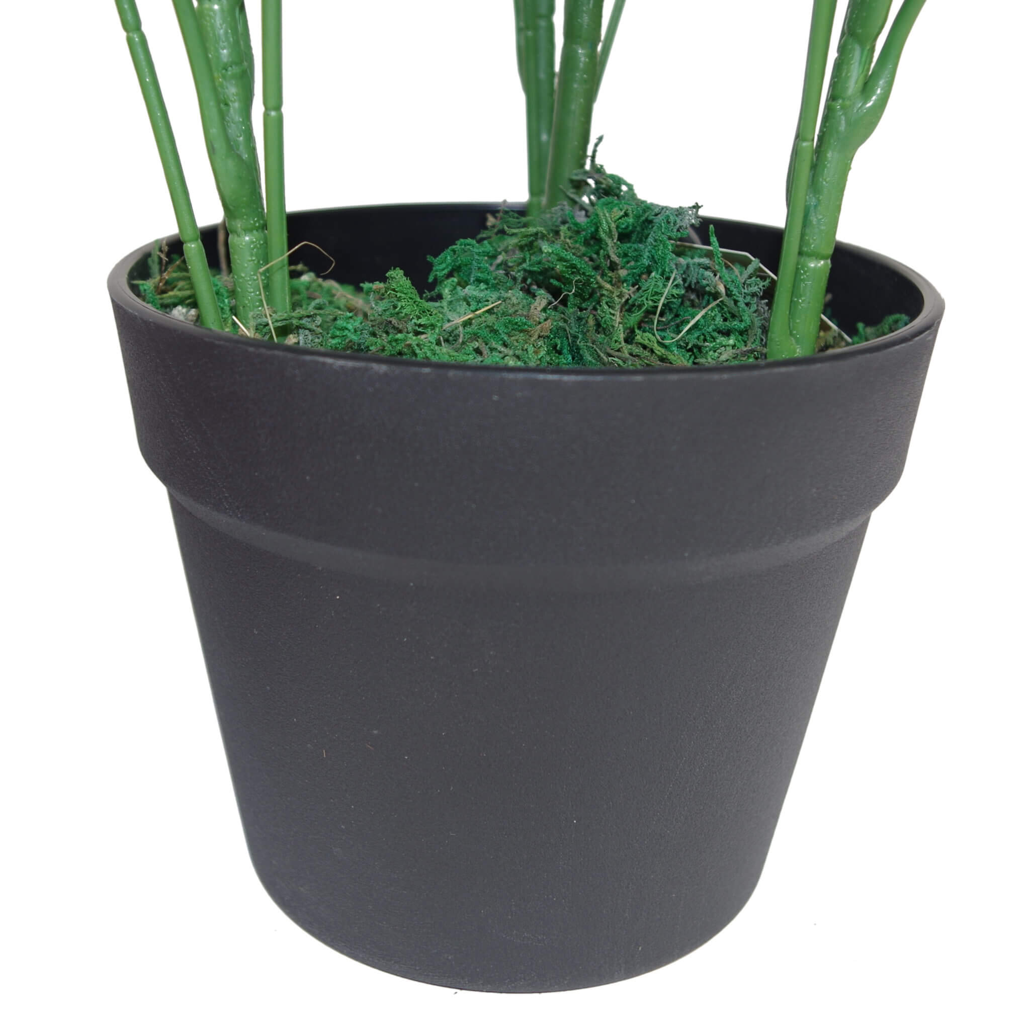 55cm Green Artificial Schefflera Arboricola Plant