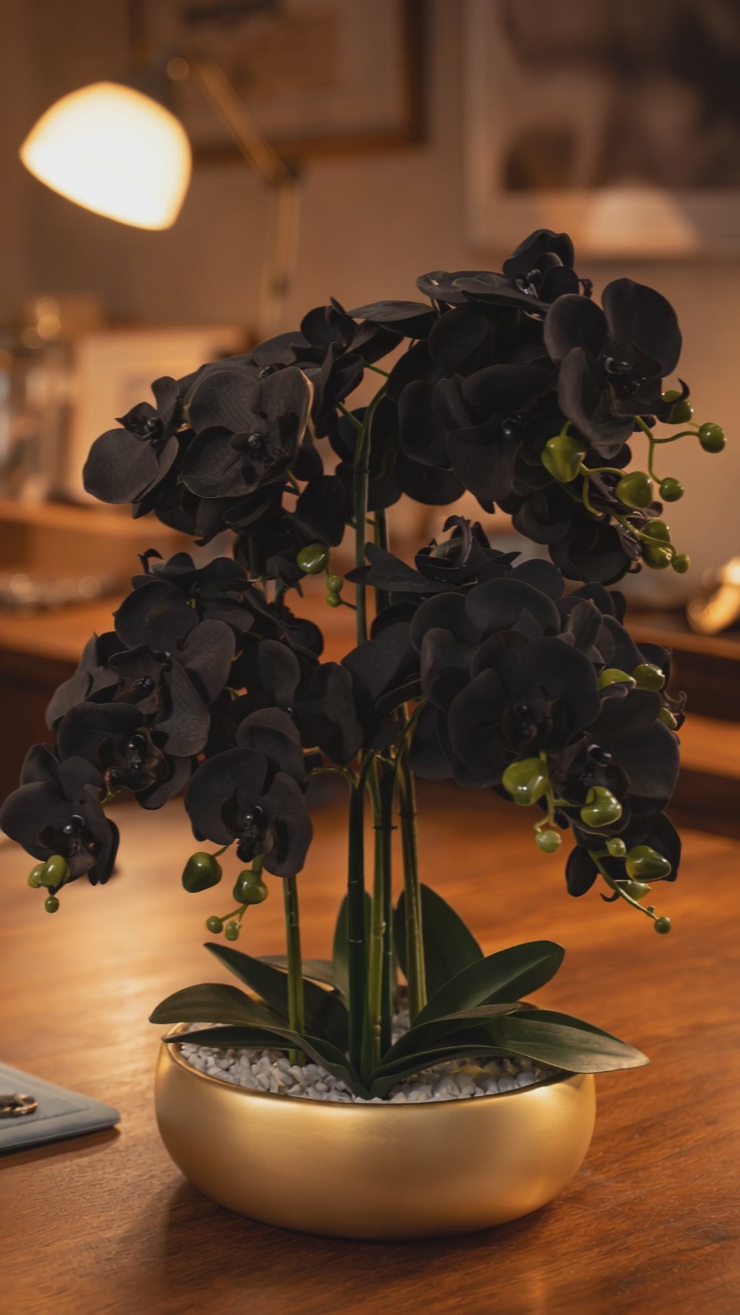 Video laden: 60cm Orchidee künstlich Schwarz - Gold Keramiktopf