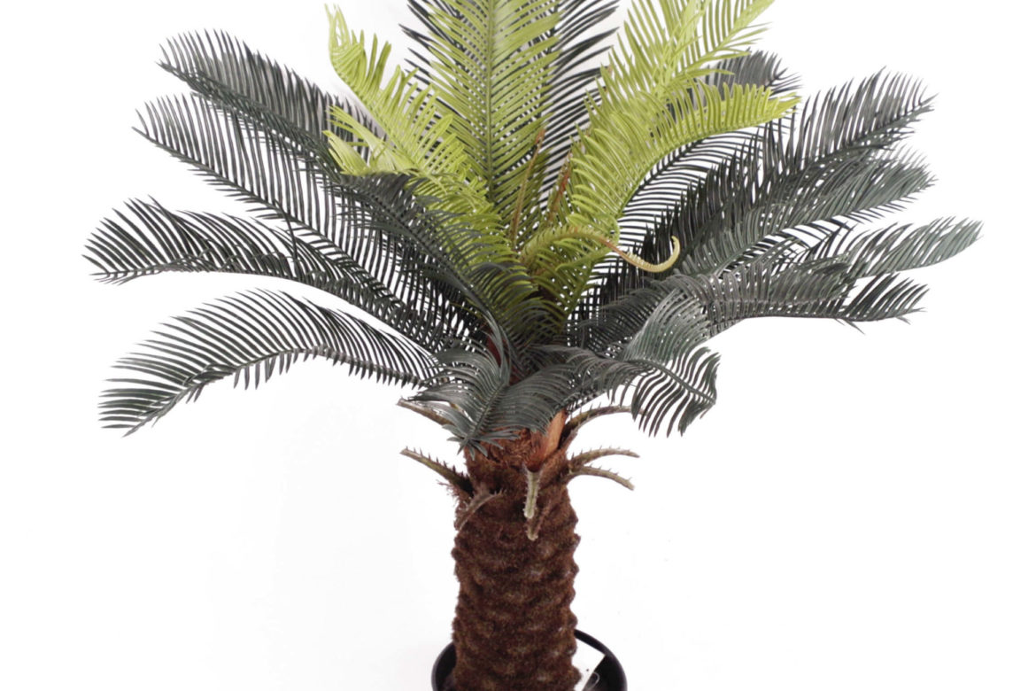 Artificial Cycas Tree
