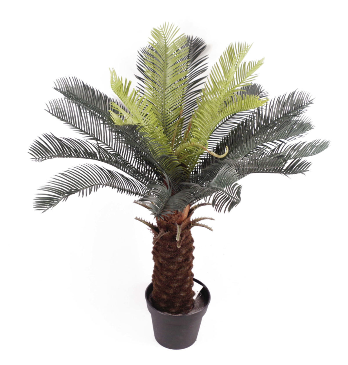 Artificial Sago Cycas Palm Trees