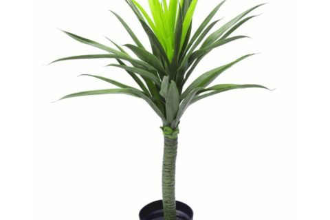 Realistic Artificial Yukka Plants