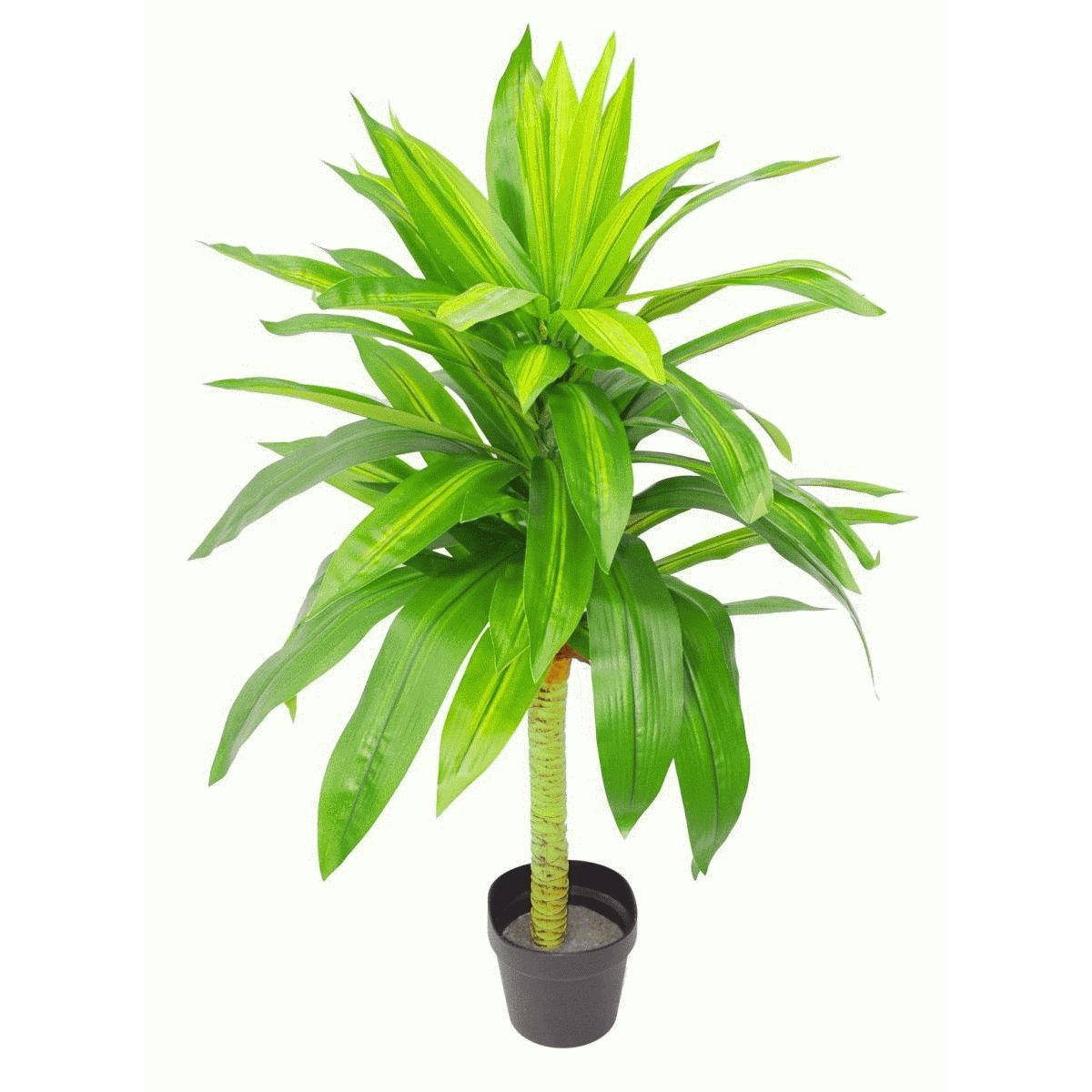 105cm Large Artificial Dracaena Tree with 2Tone Ultra Realistic Leaves