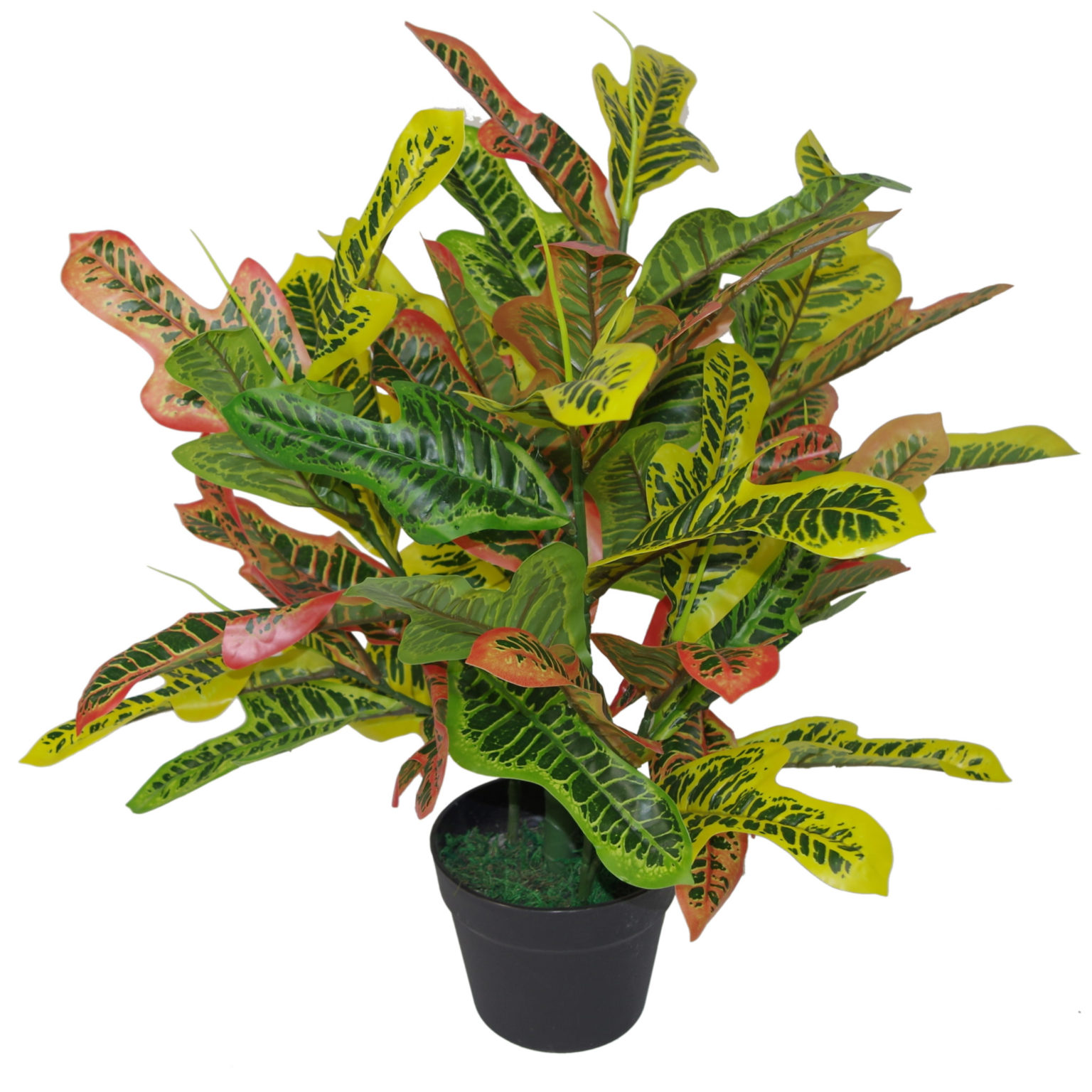 UK Supplier of Stunning Artificial Plants, Trees and Toipary