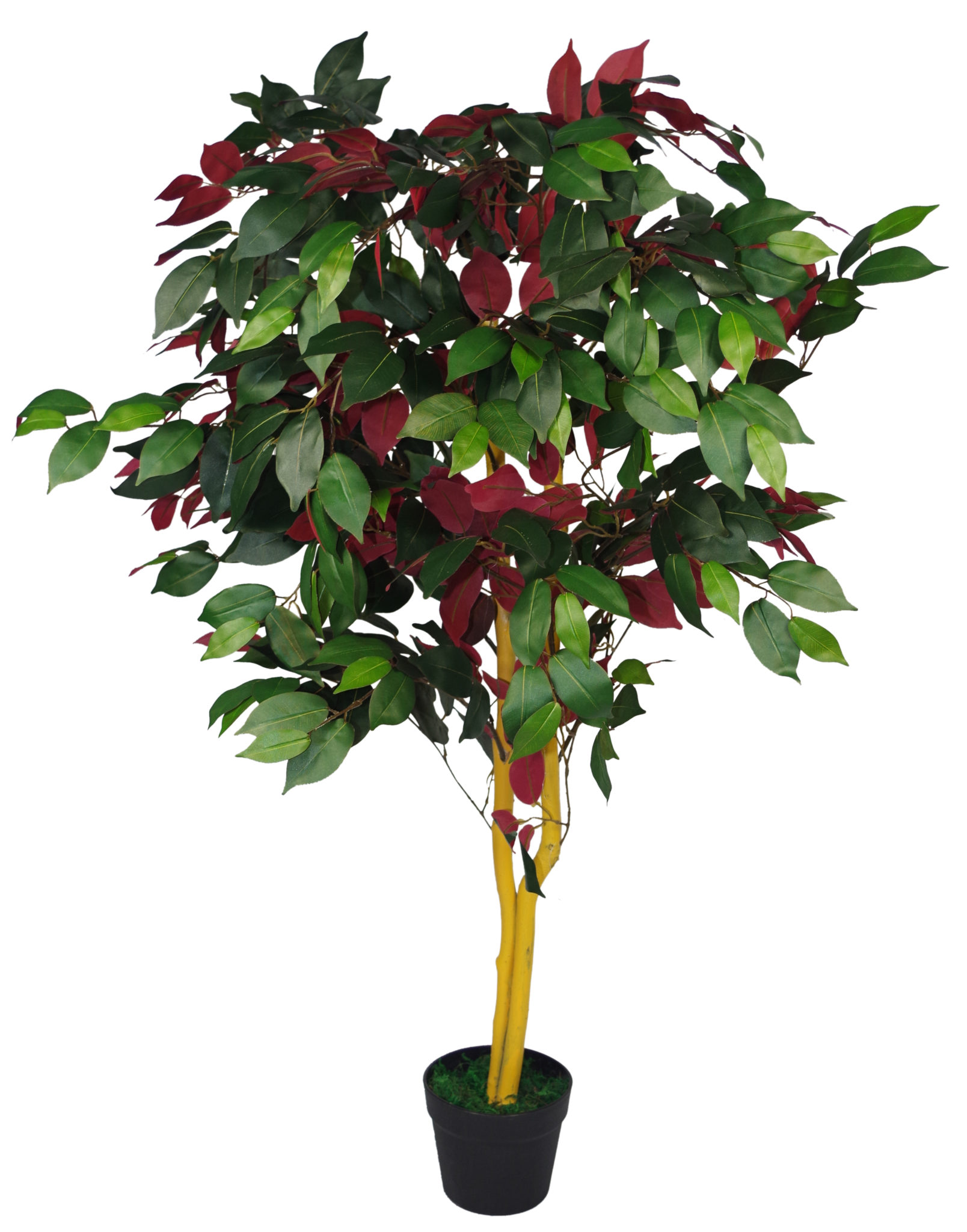 120cm (4ft) Artificial Capensia Tree Ficus Plant Extra Large Leaf