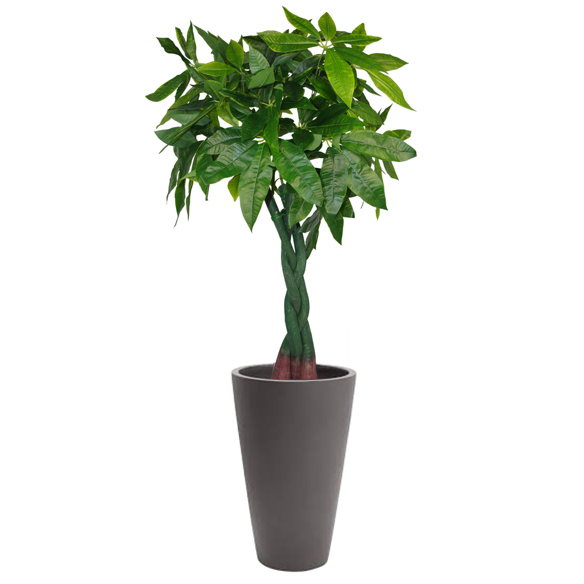 120cm Braided Twisted Artificial Pachira Aquatica Money Plant Without