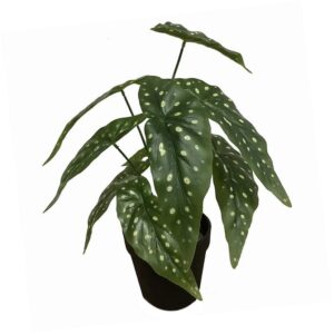 35cm Artificial Begonia Plant