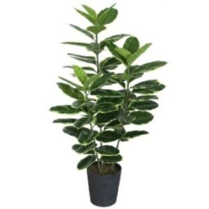 120cm Artificial Rubber Tree