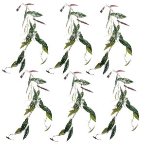 6 x 110cm Artificial Hanging Trailing Begonia Maculata Spotted Plant