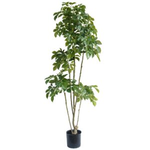 180cm Radermachera Realistic Artificial Tree