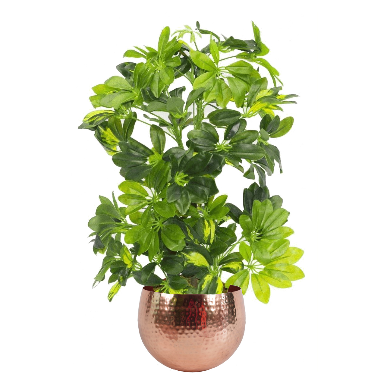 75cm Artificial Arboricola Gold Capella Plant Copper Metal Planter