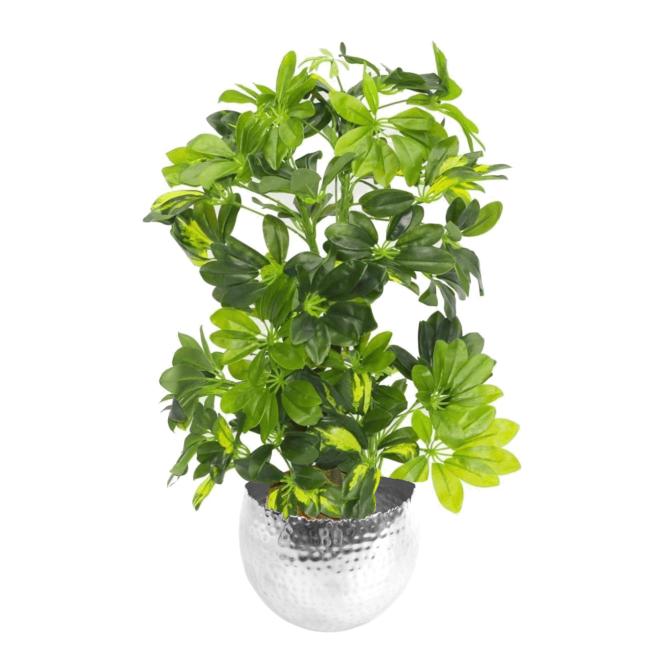 75cm Artificial Arboricola Gold Capella Plant Silver Metal Planter