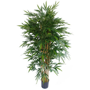 180cm Premium UV Resistant Bamboo