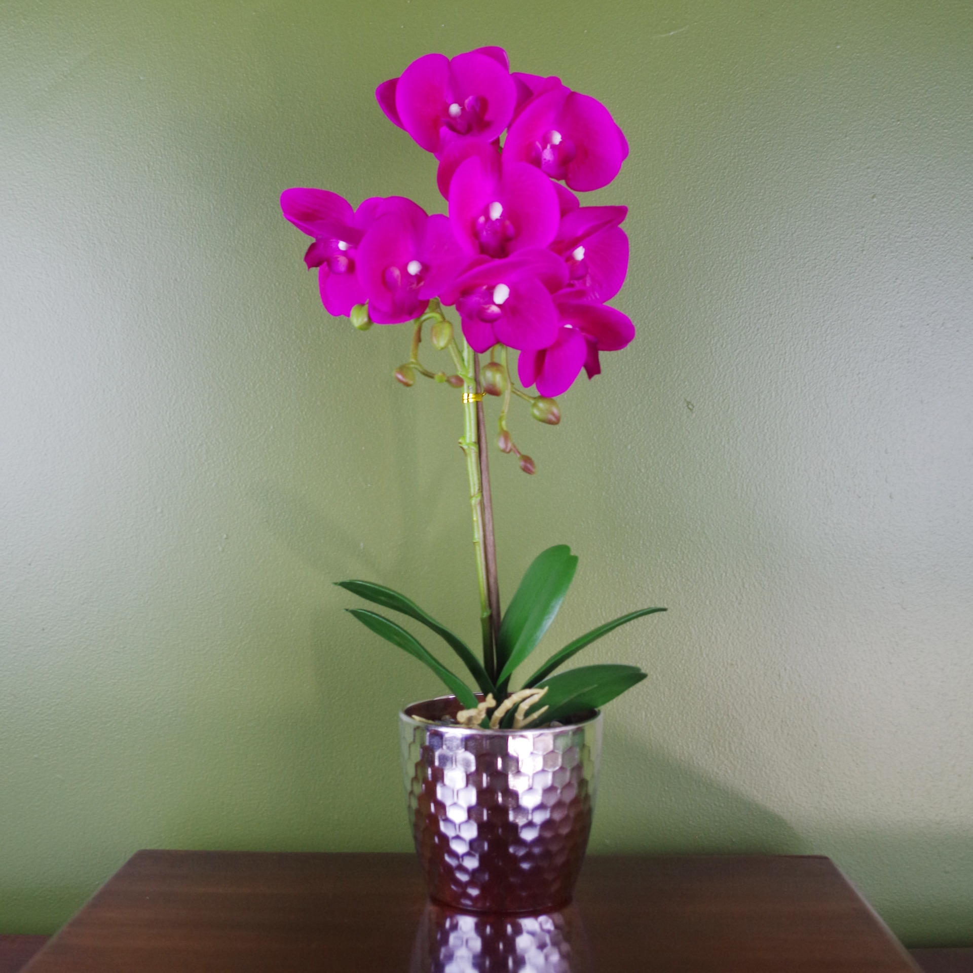 50cm Phalaenopsis Orchid Artificial Dark Pink Silver Leaf