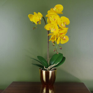 48cm Golden Orchid Artificial - Yellow with Gold Pot