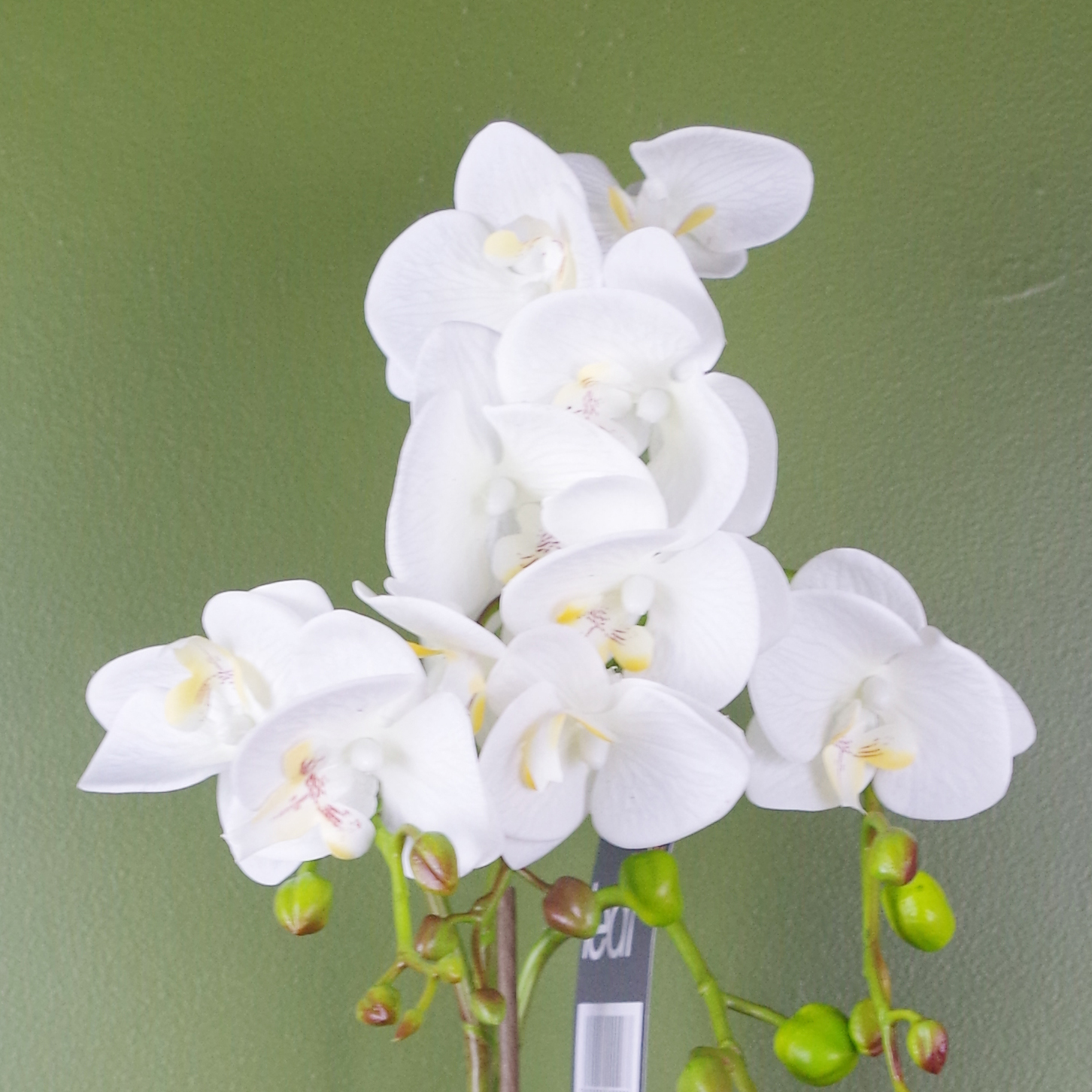 54cm Artificial Orchid Plant White with Gold Pot Leaf Artificial
