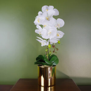 52cm Artificial Orchid Large - White / Gold