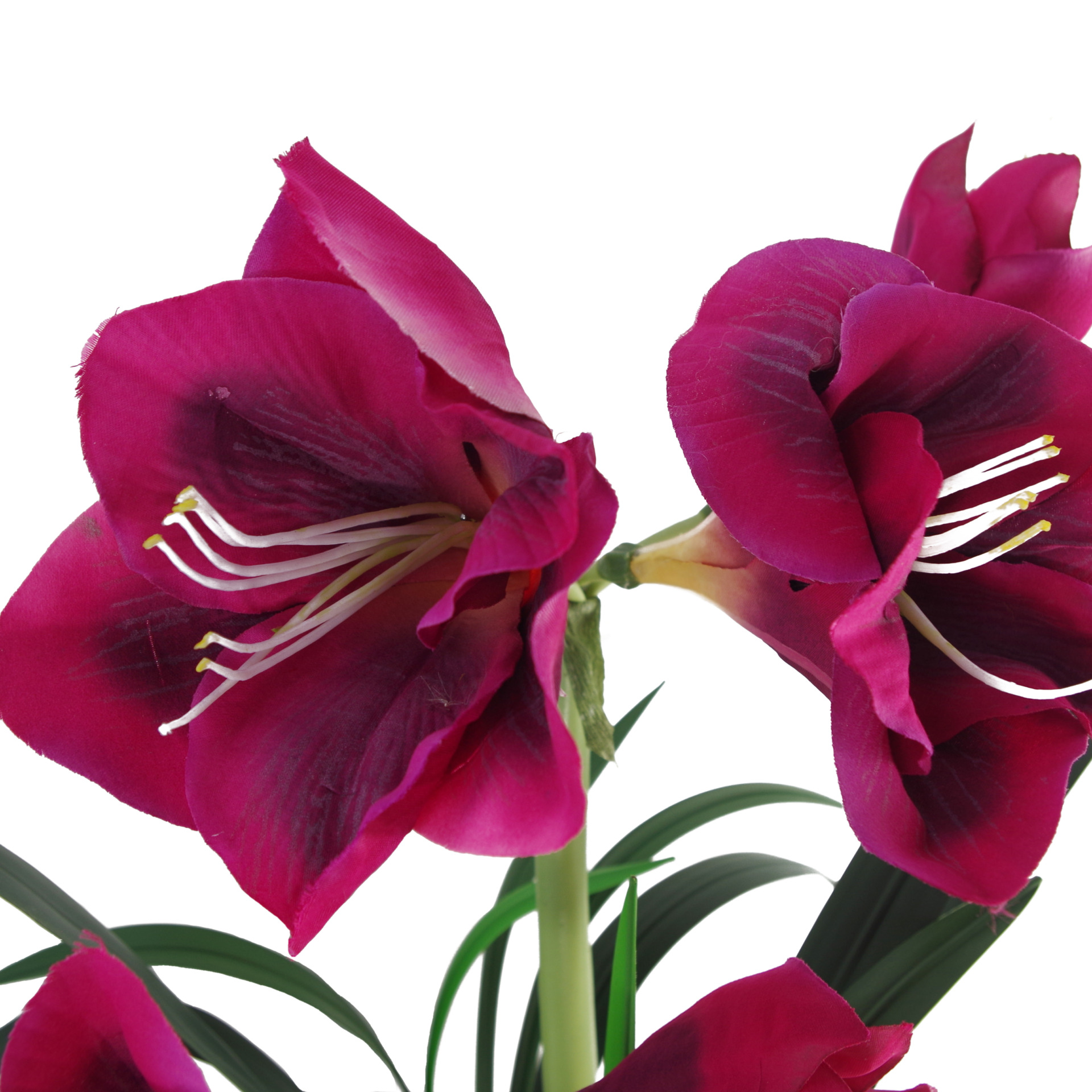 60cm Artificial Amarylis Pink – Leaf Artificial Plants & Trees