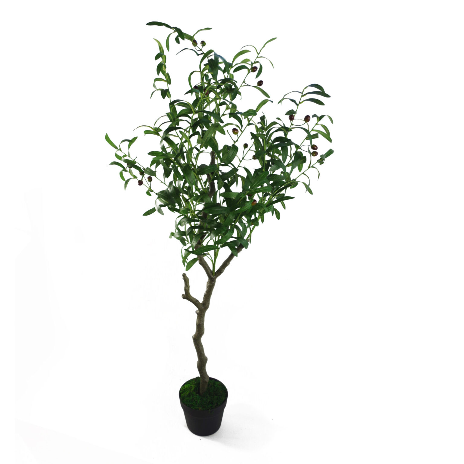 Large Plants over 90cm Leaf Artificial Plants