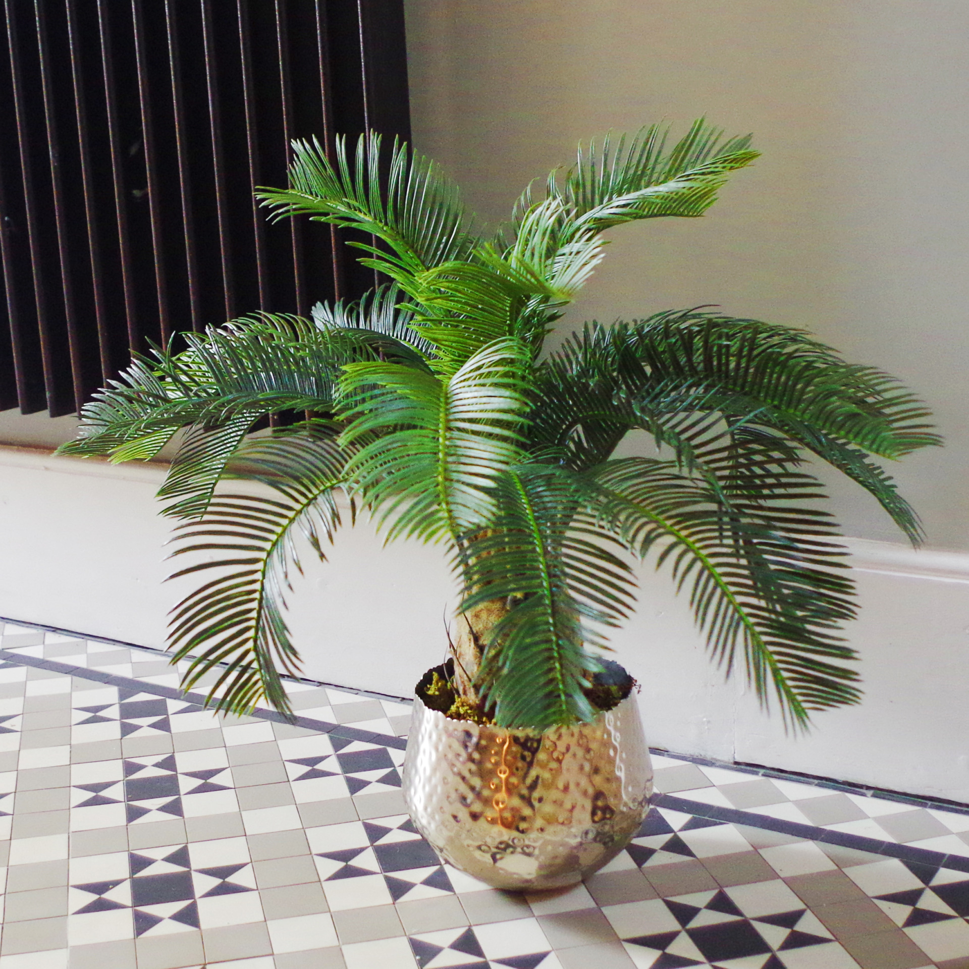 60cm Cycas Palm Plant Artificial Tropical Tree Leaf Artificial Plants