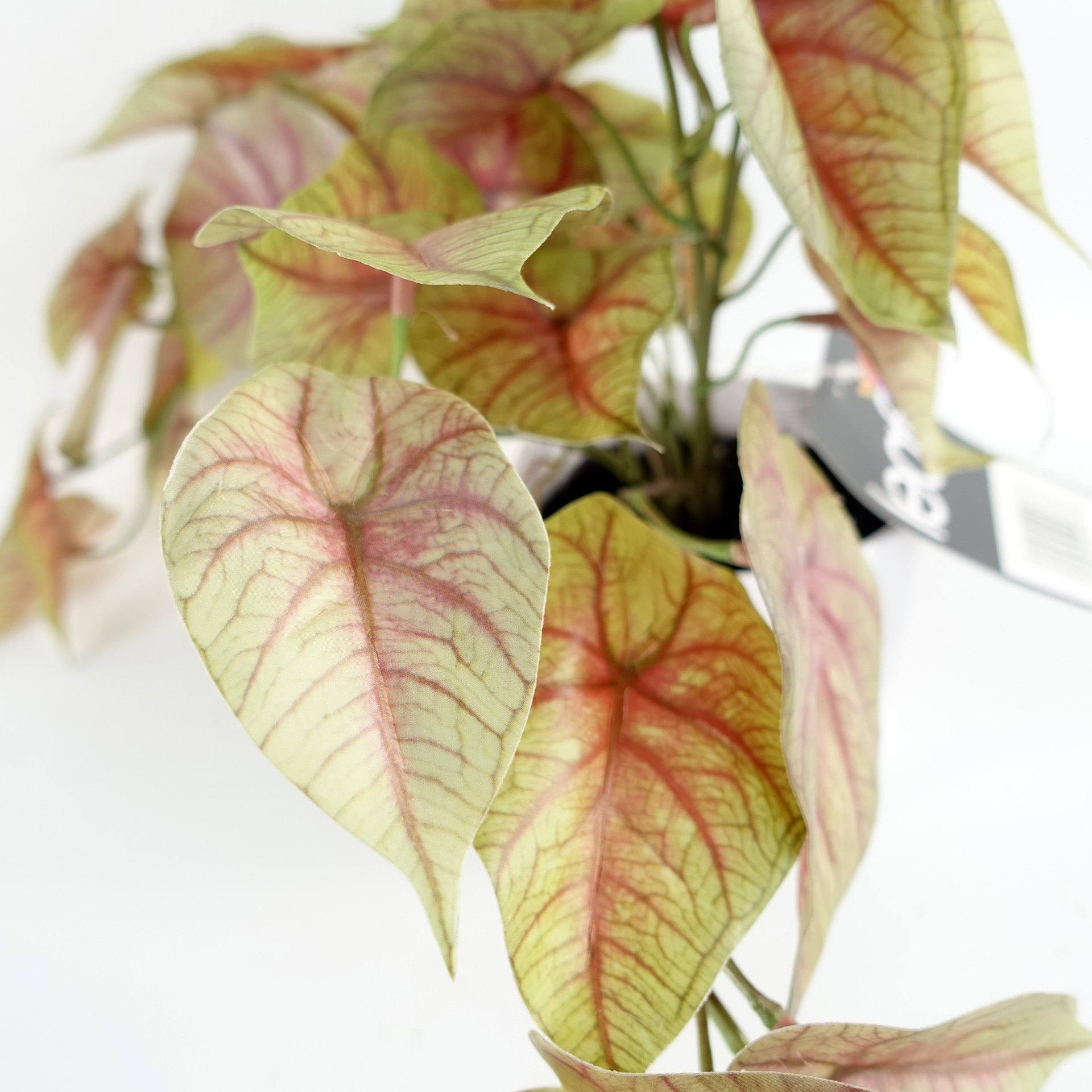 30cm Artificial Pink Caladium Potted Trailing Plant Leaf Artificial