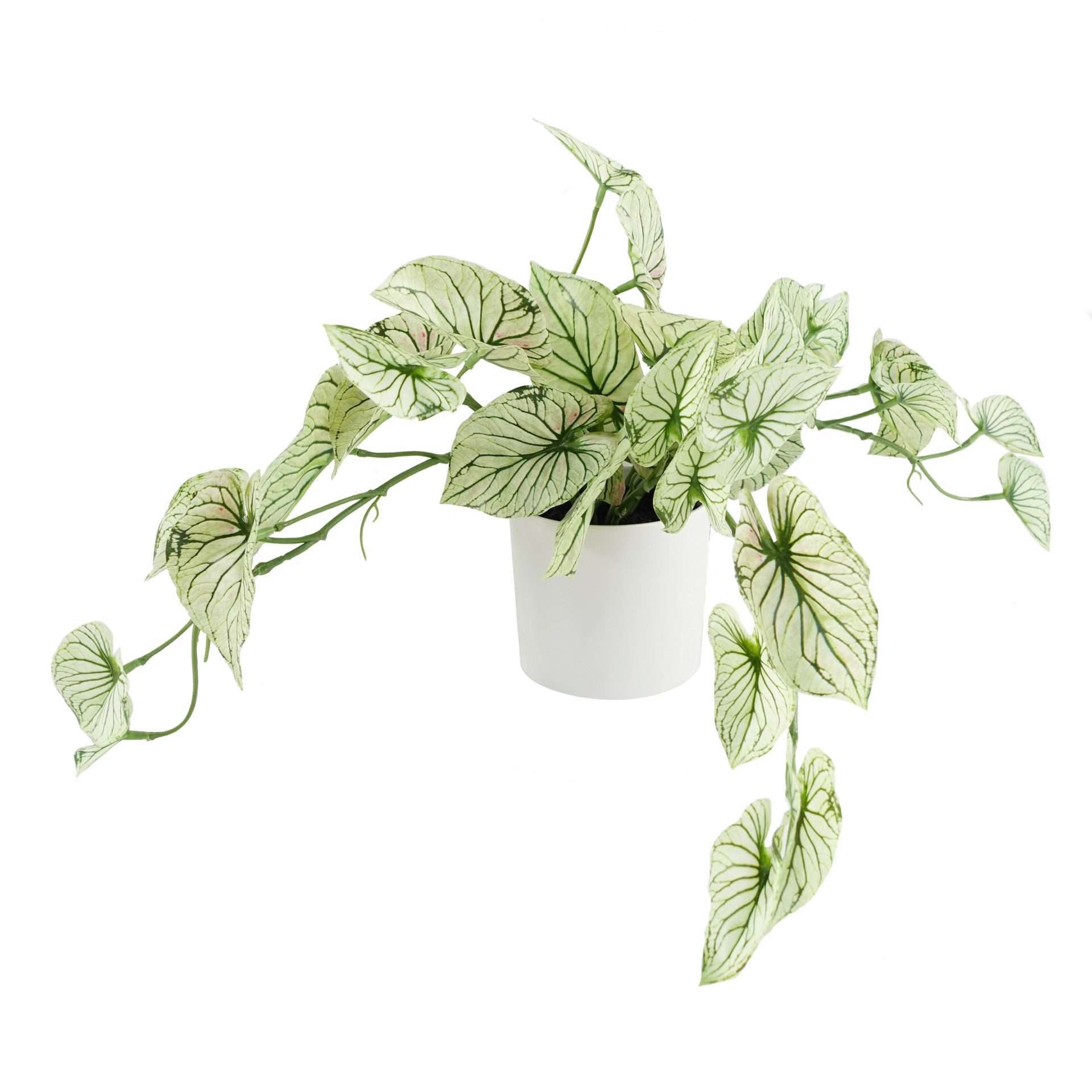 30cm Artificial Trailing Plant Variegated Potted Alocasia Leaf