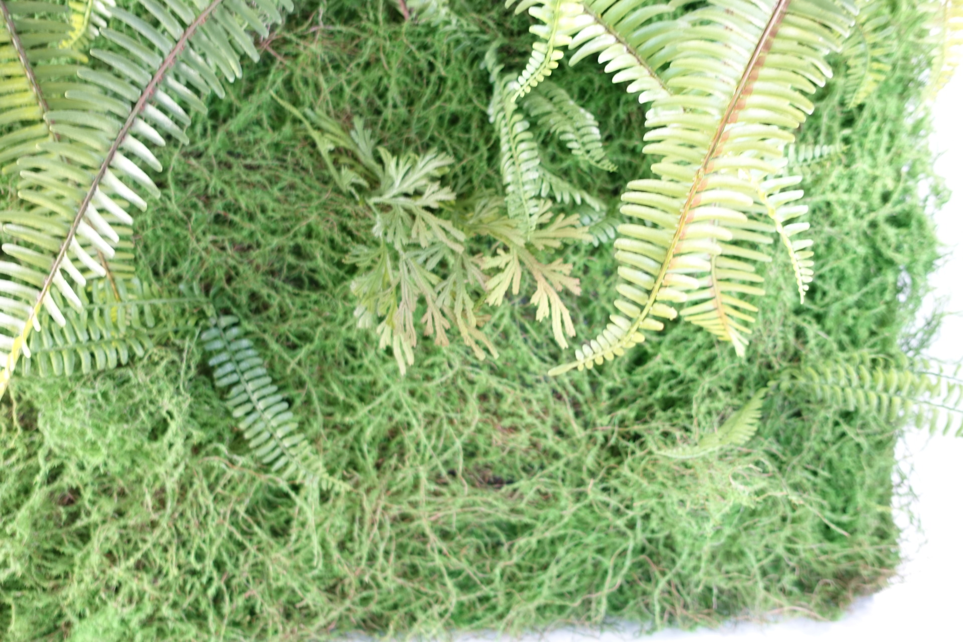 100cm Artificial Green Wall Fern Large Leaf Artificial Plants & Trees
