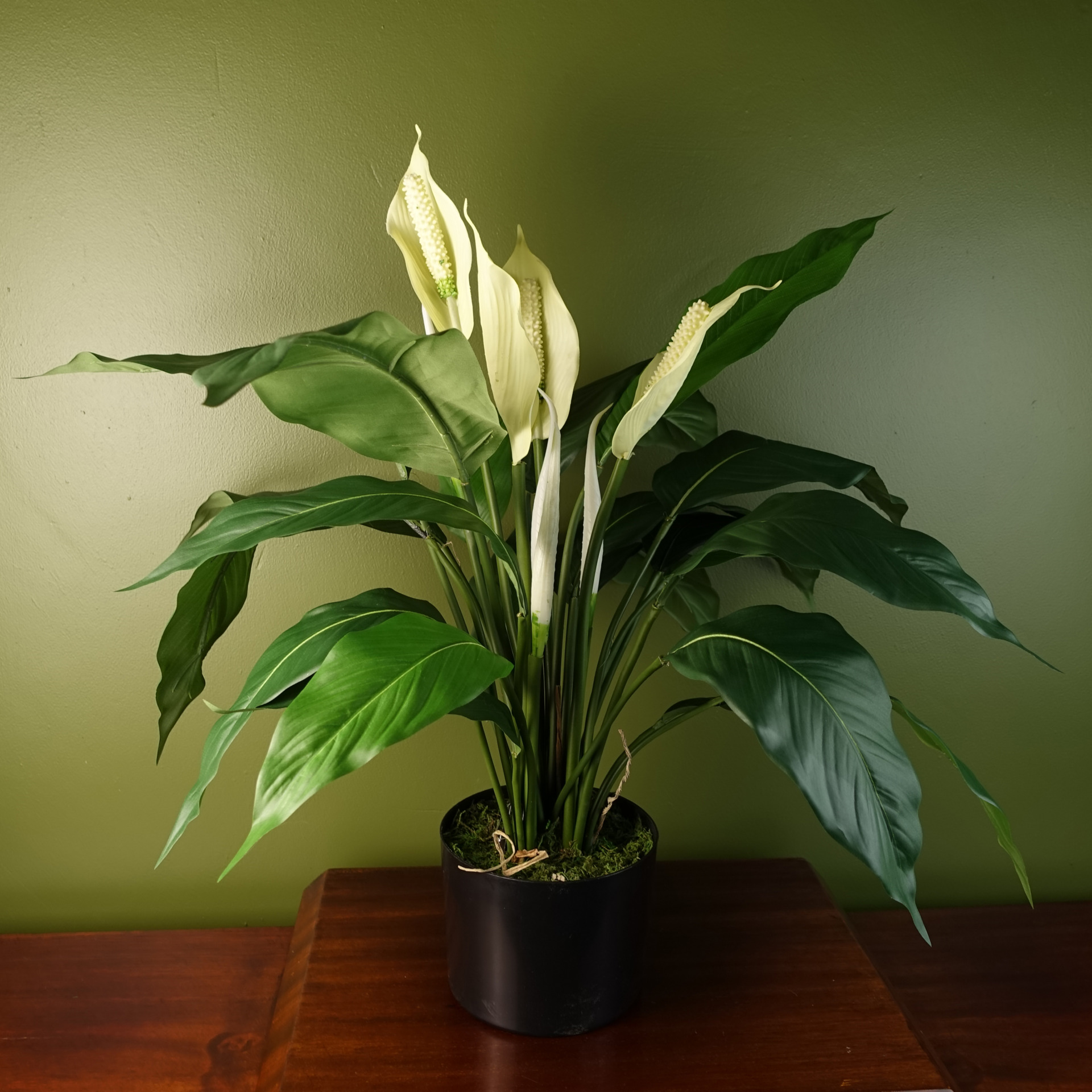 Artificial Peace Lily White Spathiphyllum Leaf Artificial Plants & Trees